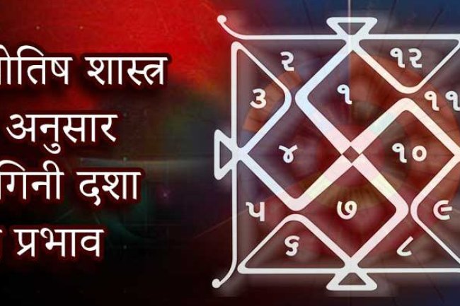 योगिनी दशा फल - भद्रिका