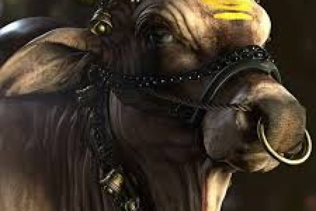 नंदी – प्रतीक्षा में स्थित ध्यान का प्रतीक