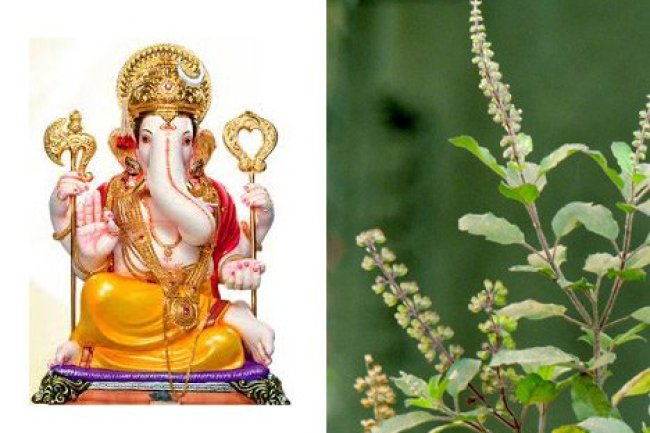 भगवान गणेश को क्यों नहीं चढ़ाते तुलसी ?