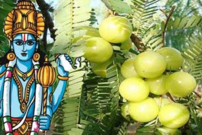 अक्षय या आंवला नवमी