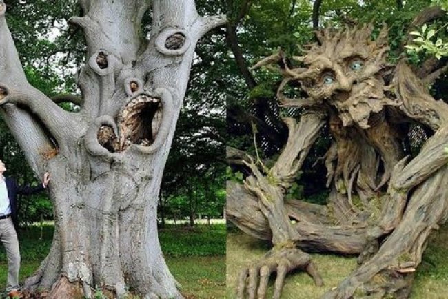 किन पेड़ों की लकड़ी से नहीं बनानी चाहिए भगवान की मूर्ति