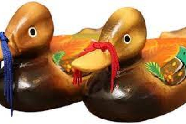 संबंधों में प्रेम बढ़ाने के लिए घर में रखें मंडारिन डक