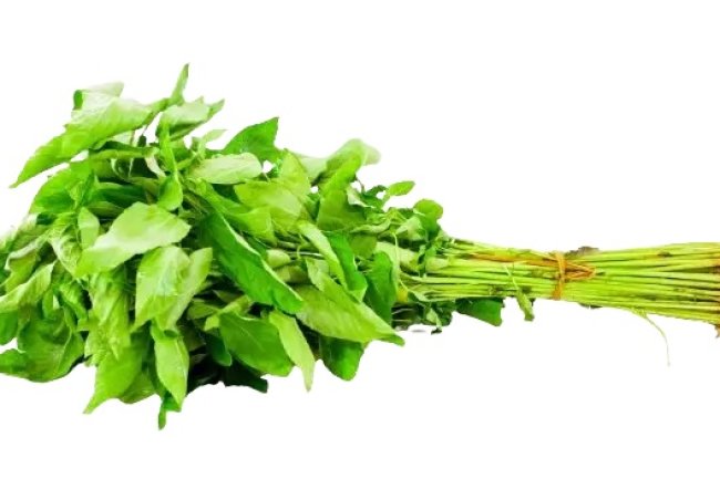 पट्टशाक दूर करे कई बीमारियां