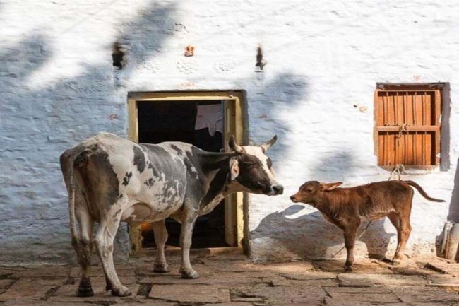 ये 7 संकेत बताते हैं कि अब आप भी होने वाले हैं जल्दी अमीर