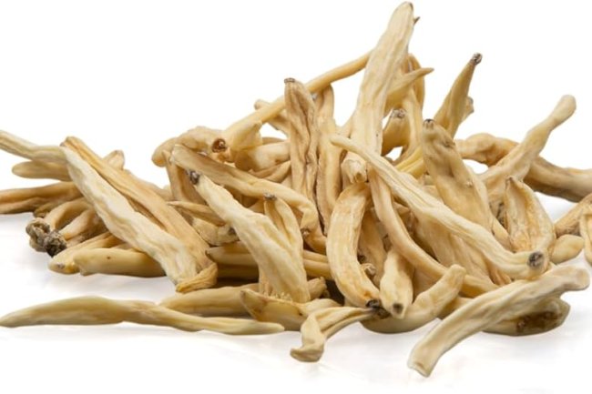 सफेद मूसली के फायदे, गुण, लाभ, नुकसान, खाने का तरीका