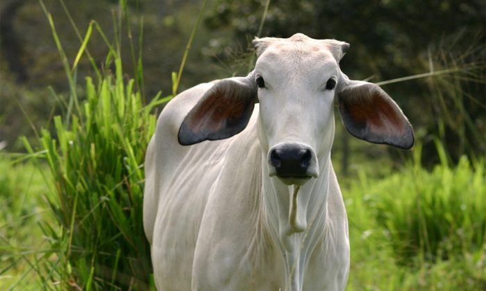 यात्रा के समय अर्थी देखना शुभ या अशुभ, जानें क्या कहती हैं मान्यताएं
