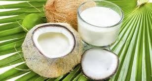 नारियल के दूध के फायदे, उपयोग और नुकसान