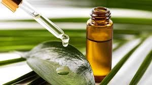 टी-ट्री (Tea Tree) ऑयल के फायदे एवं नुकसान