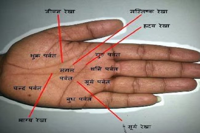हस्तरेखा: अपने ज्ञान और विवेक से अकूत संपत्ति के मालिक बनते हैं ऐसी हथेली वाल