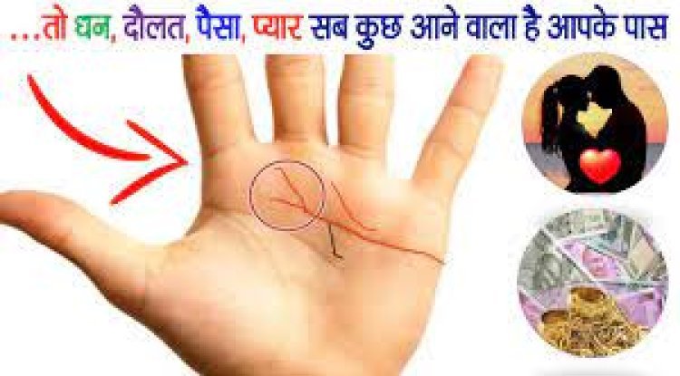 हाथ में Vishnu Rekha का होना देता है सौभाग्य, भगवान विष्णु की रहती है विशेष कृपा