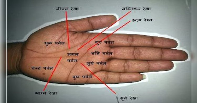 हस्तरेखा: अपने ज्ञान और विवेक से अकूत संपत्ति के मालिक बनते हैं ऐसी हथेली वाल
