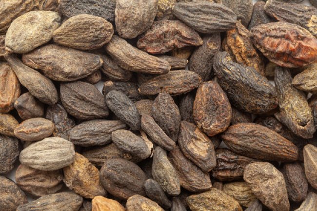 छोटी हरड़ के यह 10 फायदे हैं कमाल के